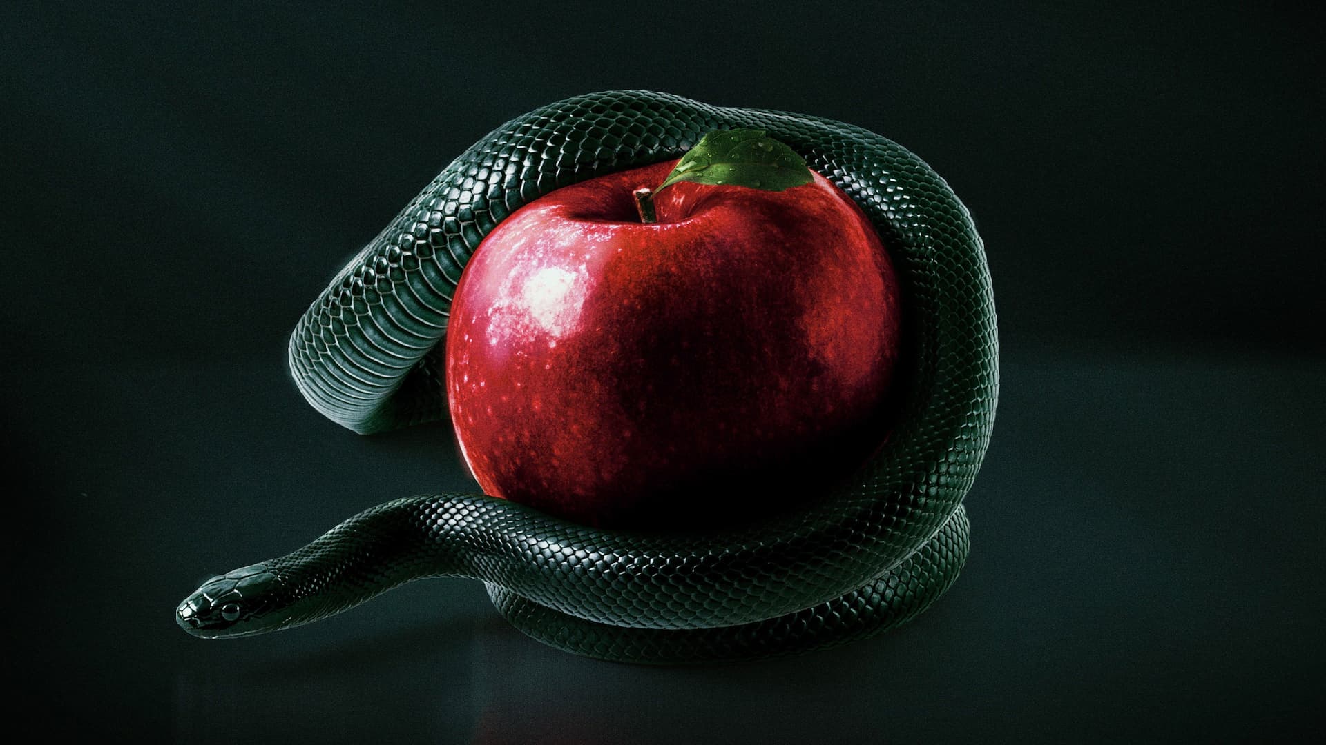 Bible Secrets Revealed