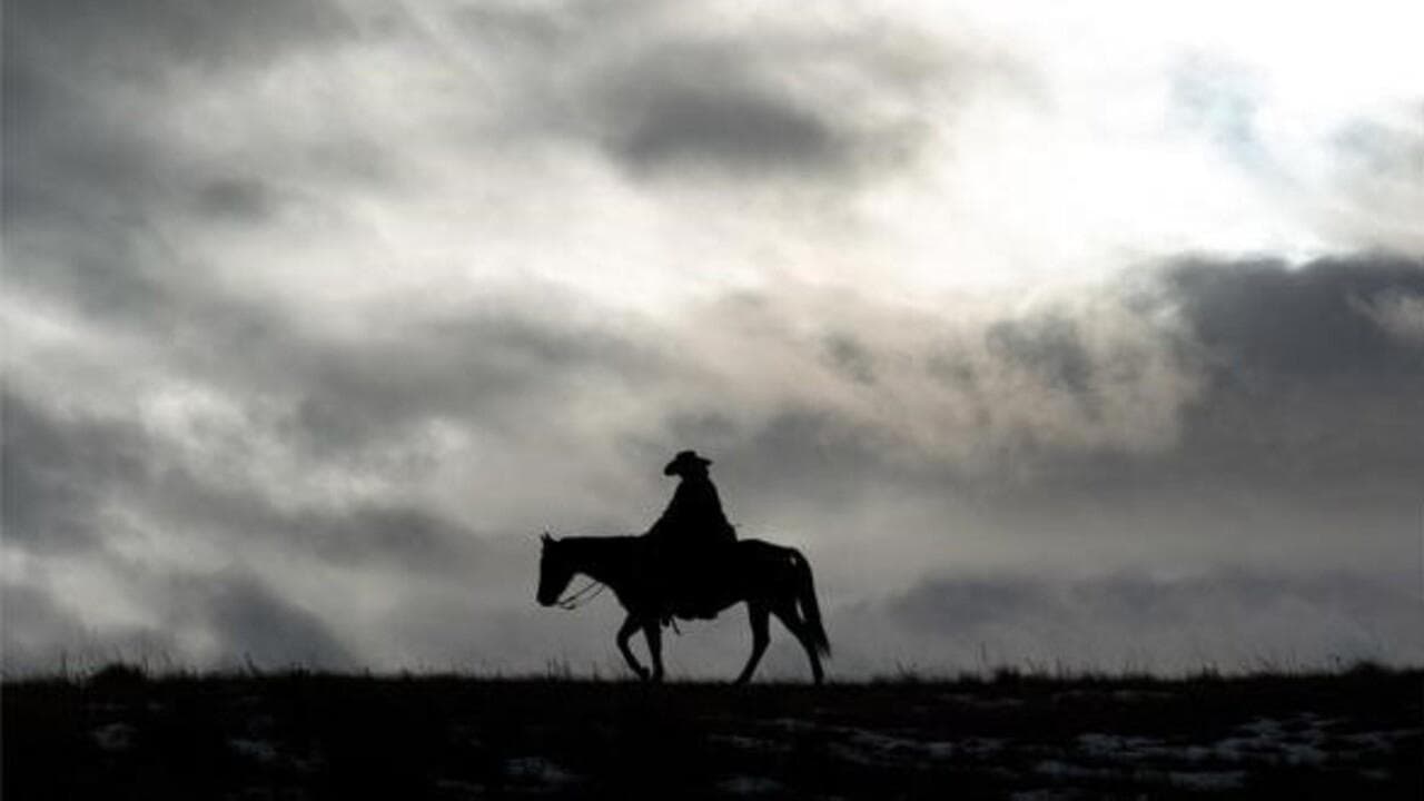 Bring on the Dancing Horses