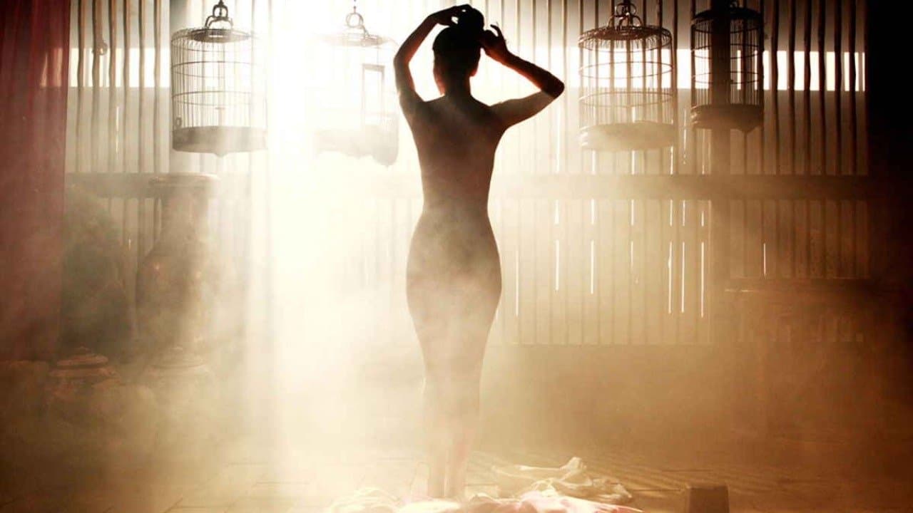 Bir Güzelin Portresi