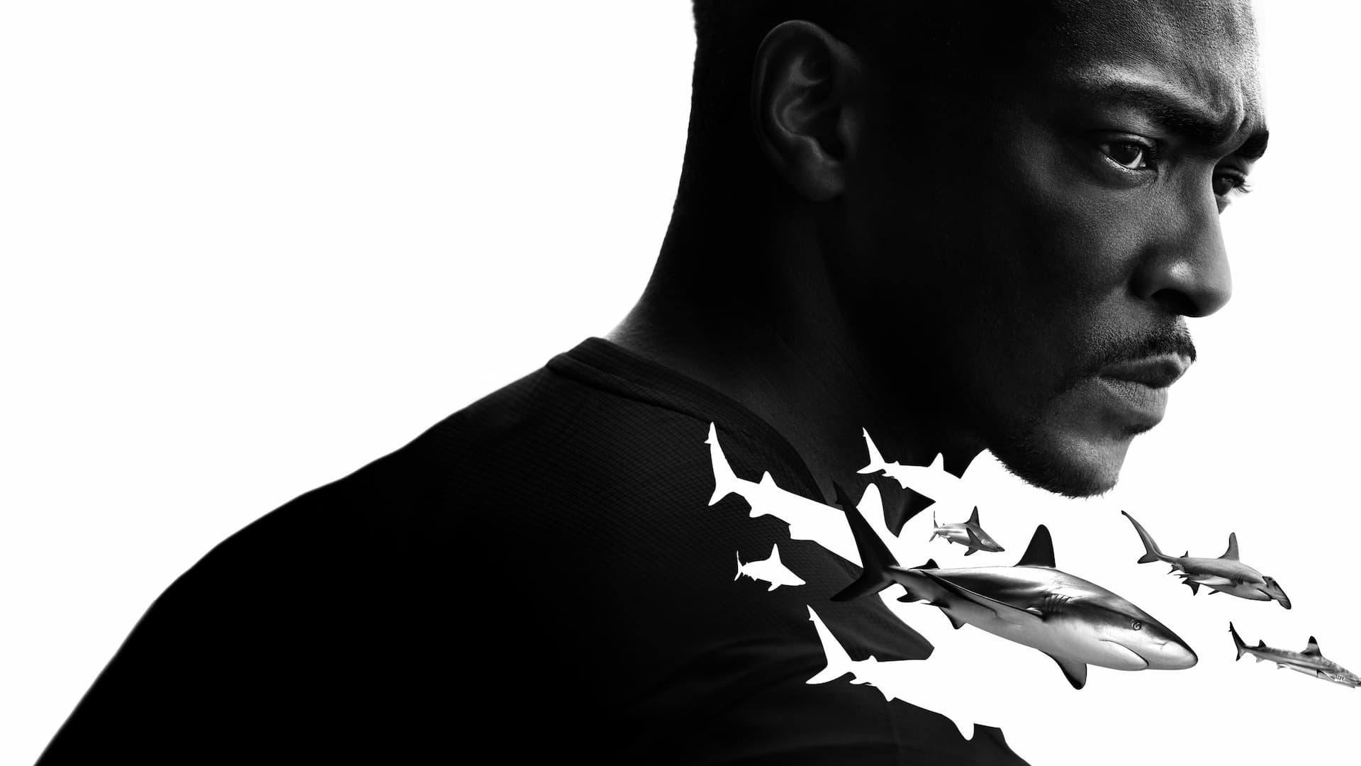 Anthony Mackie ile Köpekbalıkları: Körfez Kıyıları