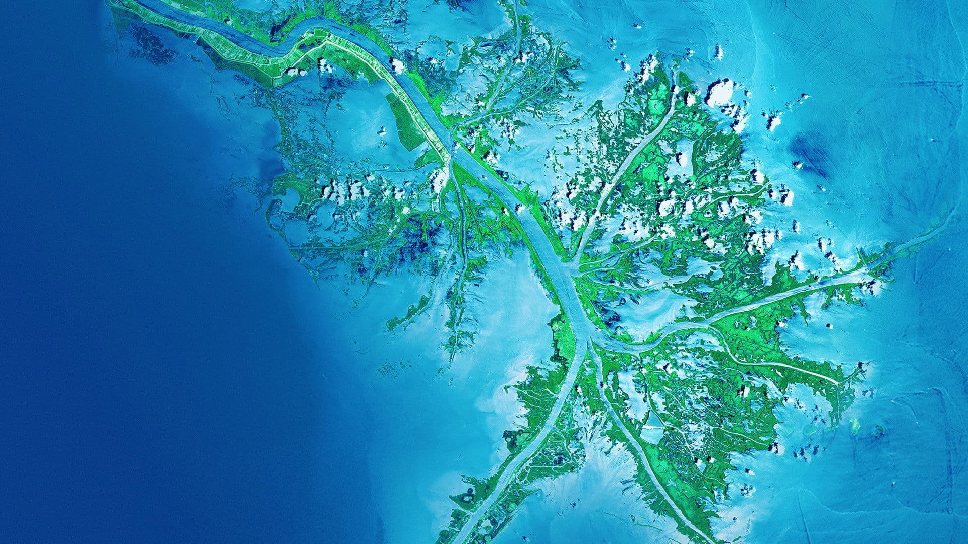 Curiosidades de la tierra