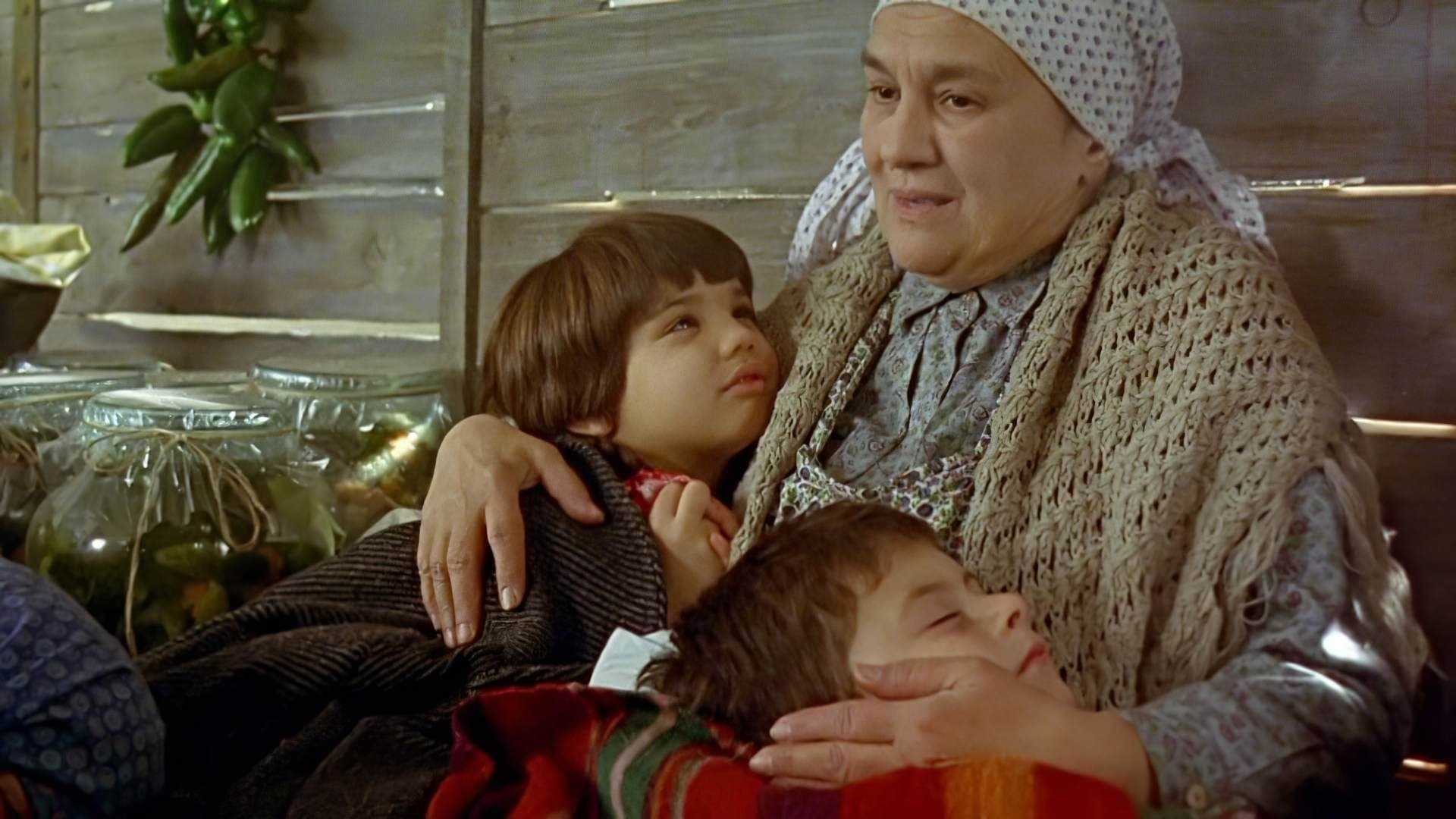 Hayat Treni
