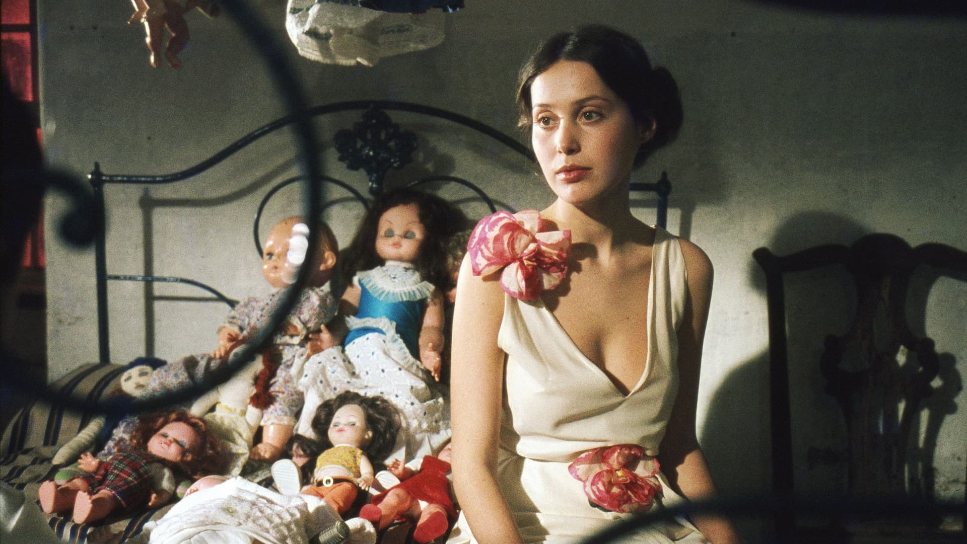 Denizcinin Üç Altını