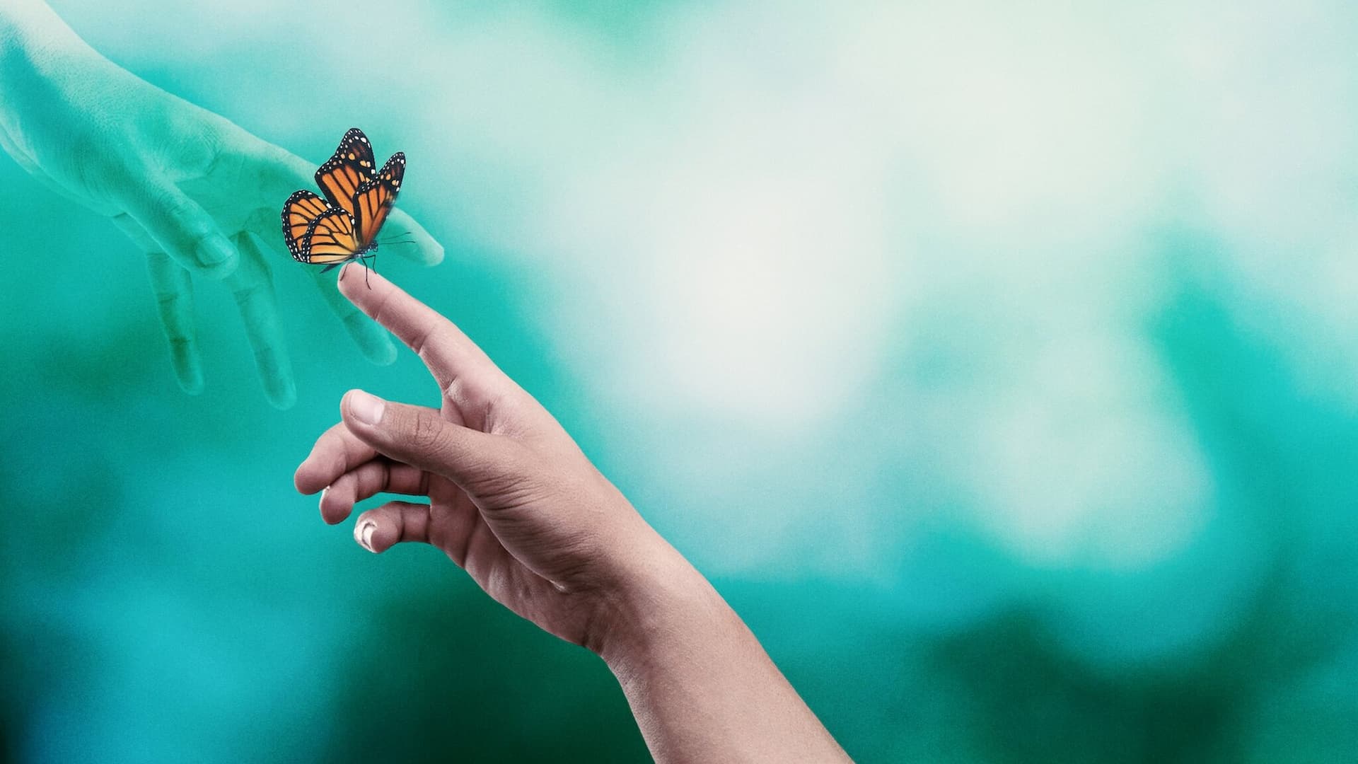 Ölümden Sonra Yaşam Var mı?