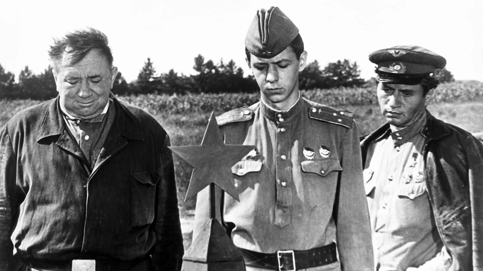 Sadece Yaşlılar Savaşa Gider