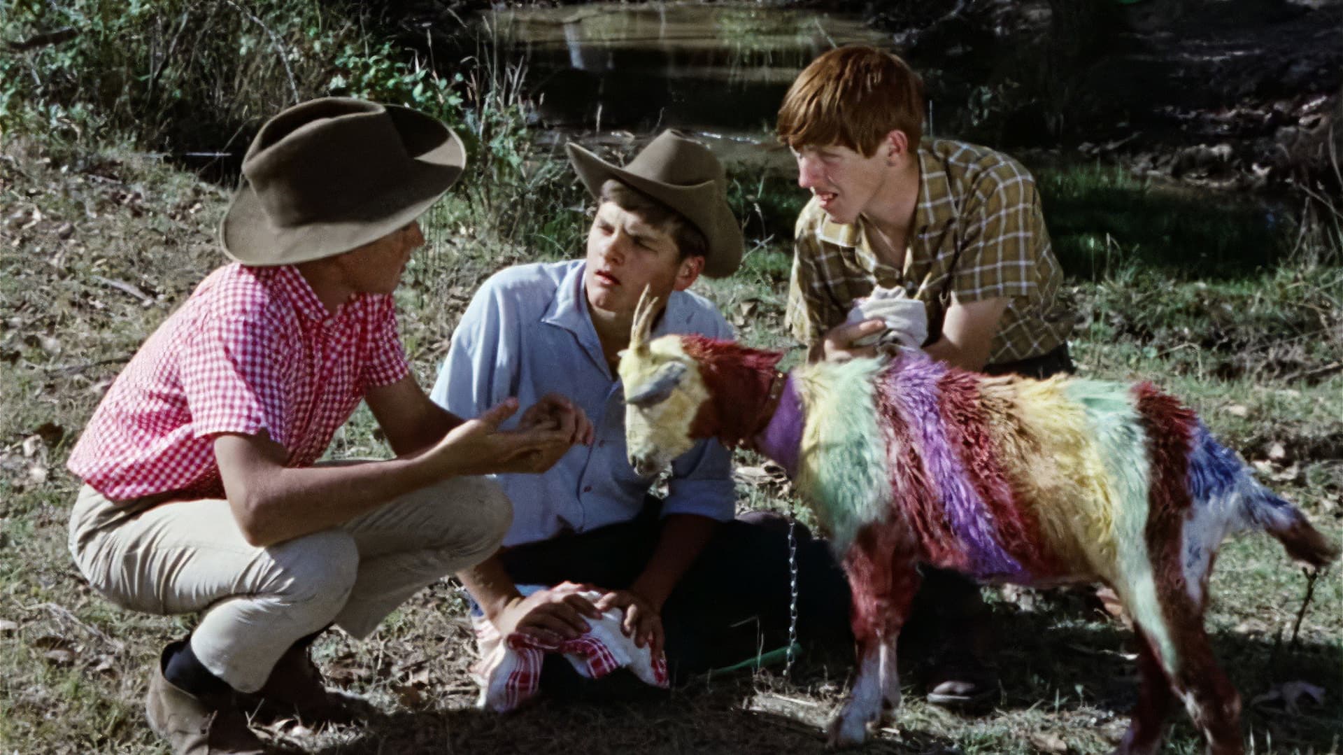 Funny Things Happen Down Under