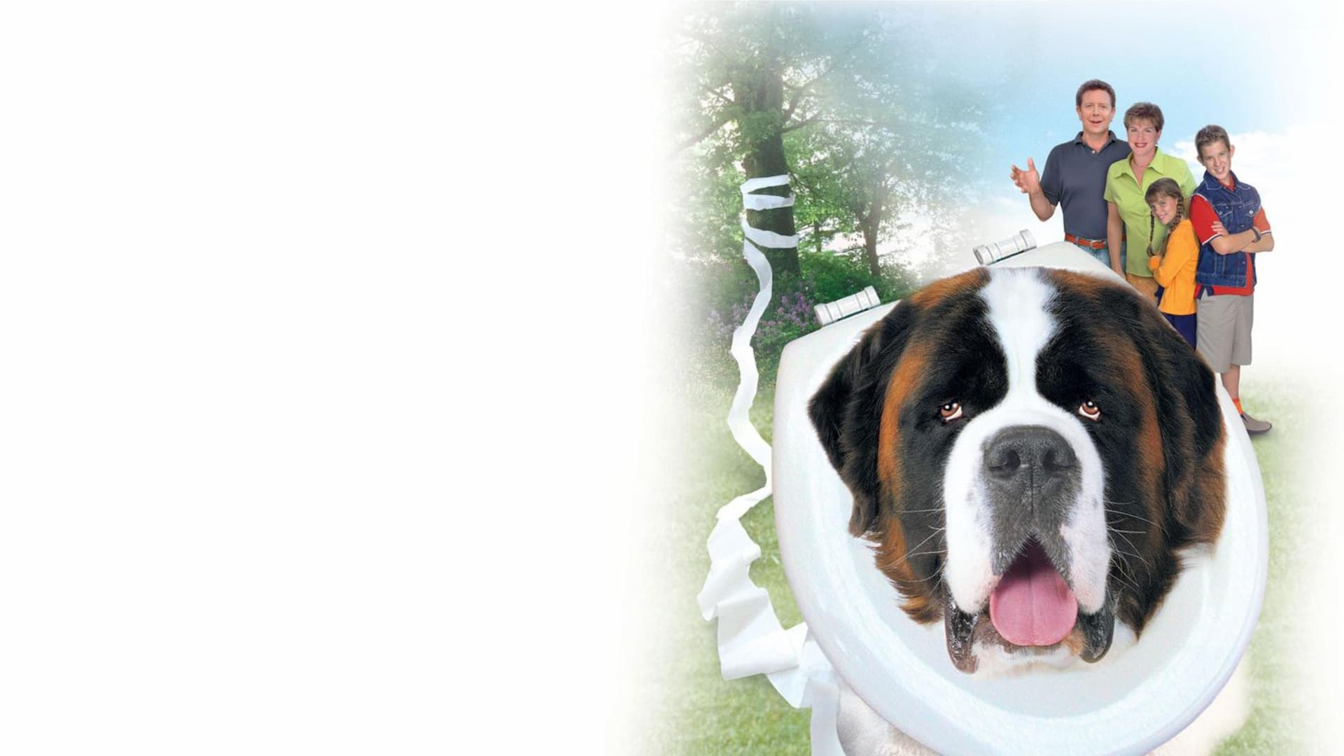 Afacan Köpek Beethoven 4