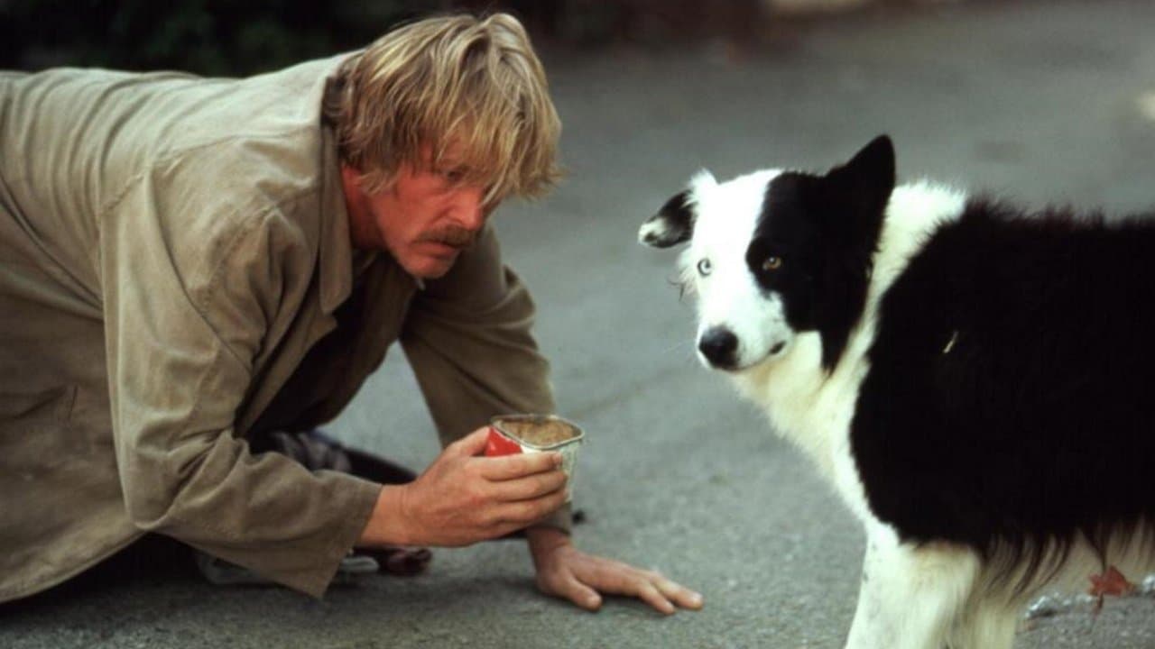 Beverly Hills Macerası