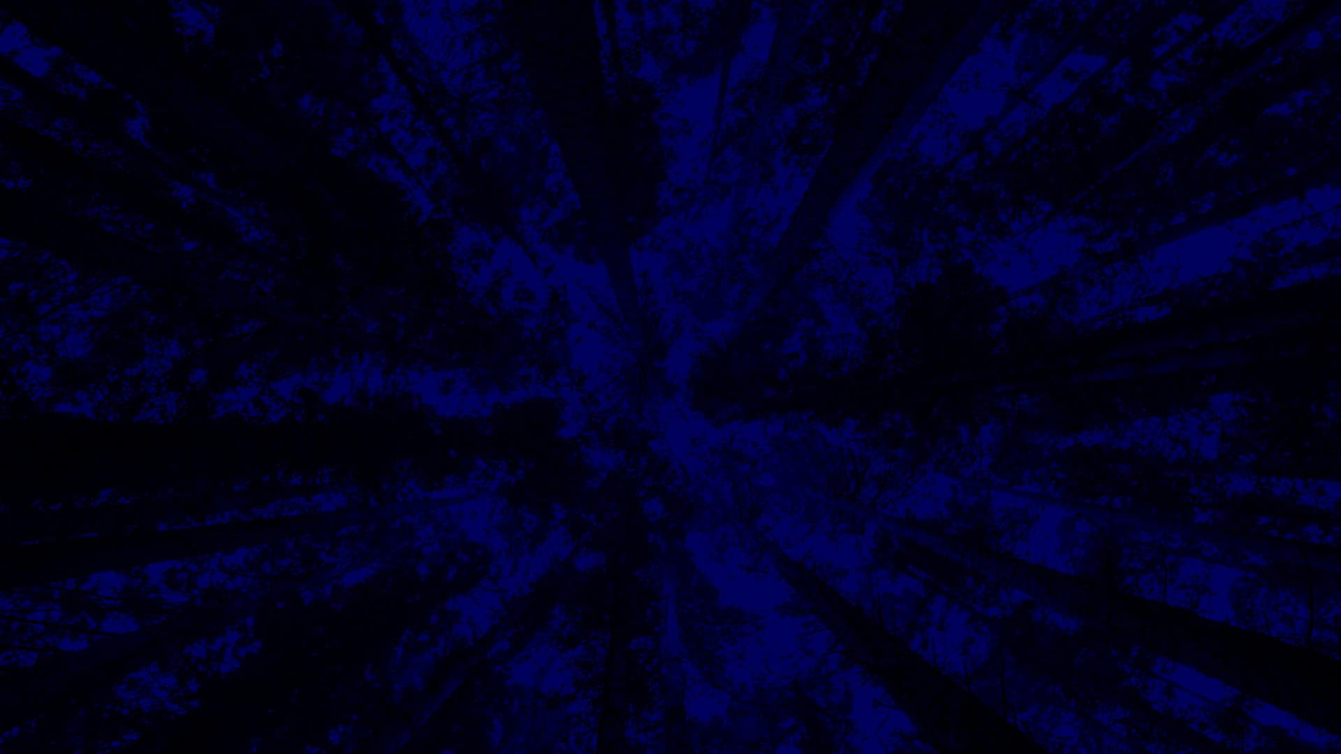 New York City Opera: A Little Night Music