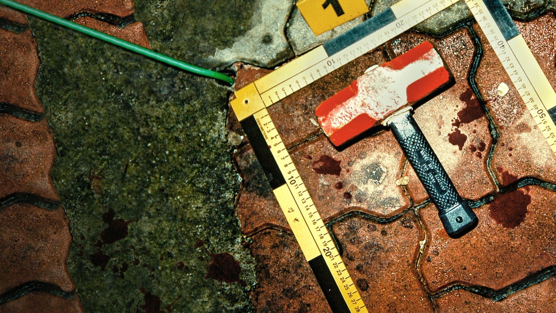 Yağmurluklu Katil: Kore'de Canavar Takibi