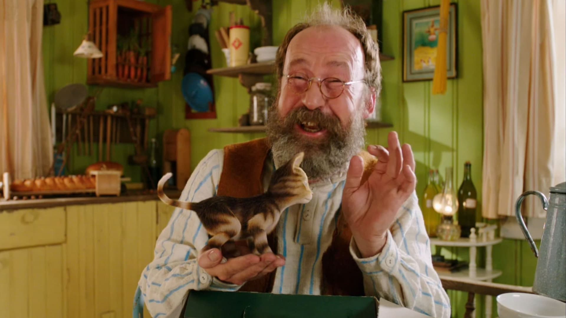 Fırıldak Kedi Findus