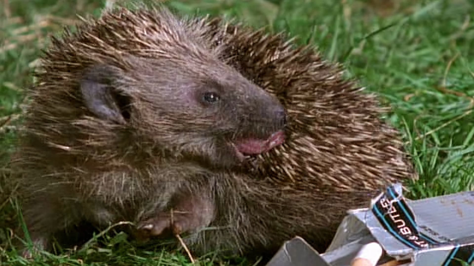 Sıra Dışı Dünya