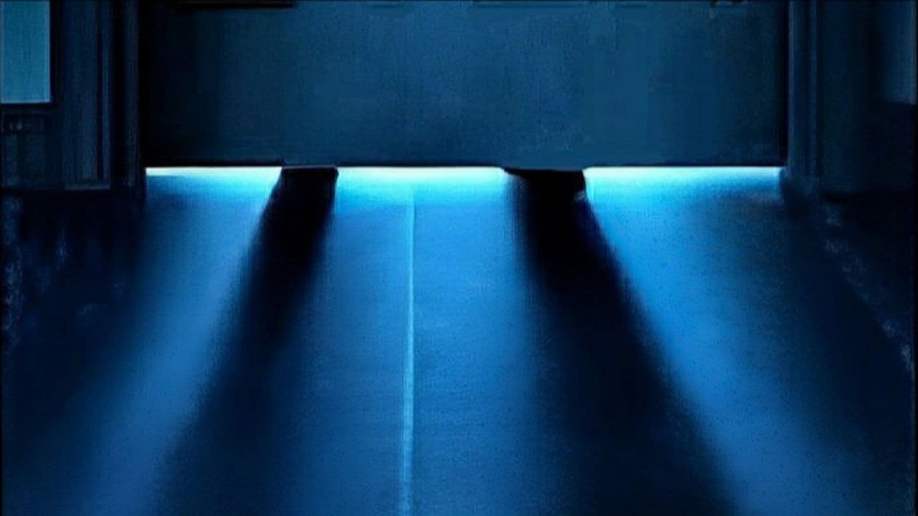 Gelmiş Geçmiş En Kötü Ev Arkadaşı