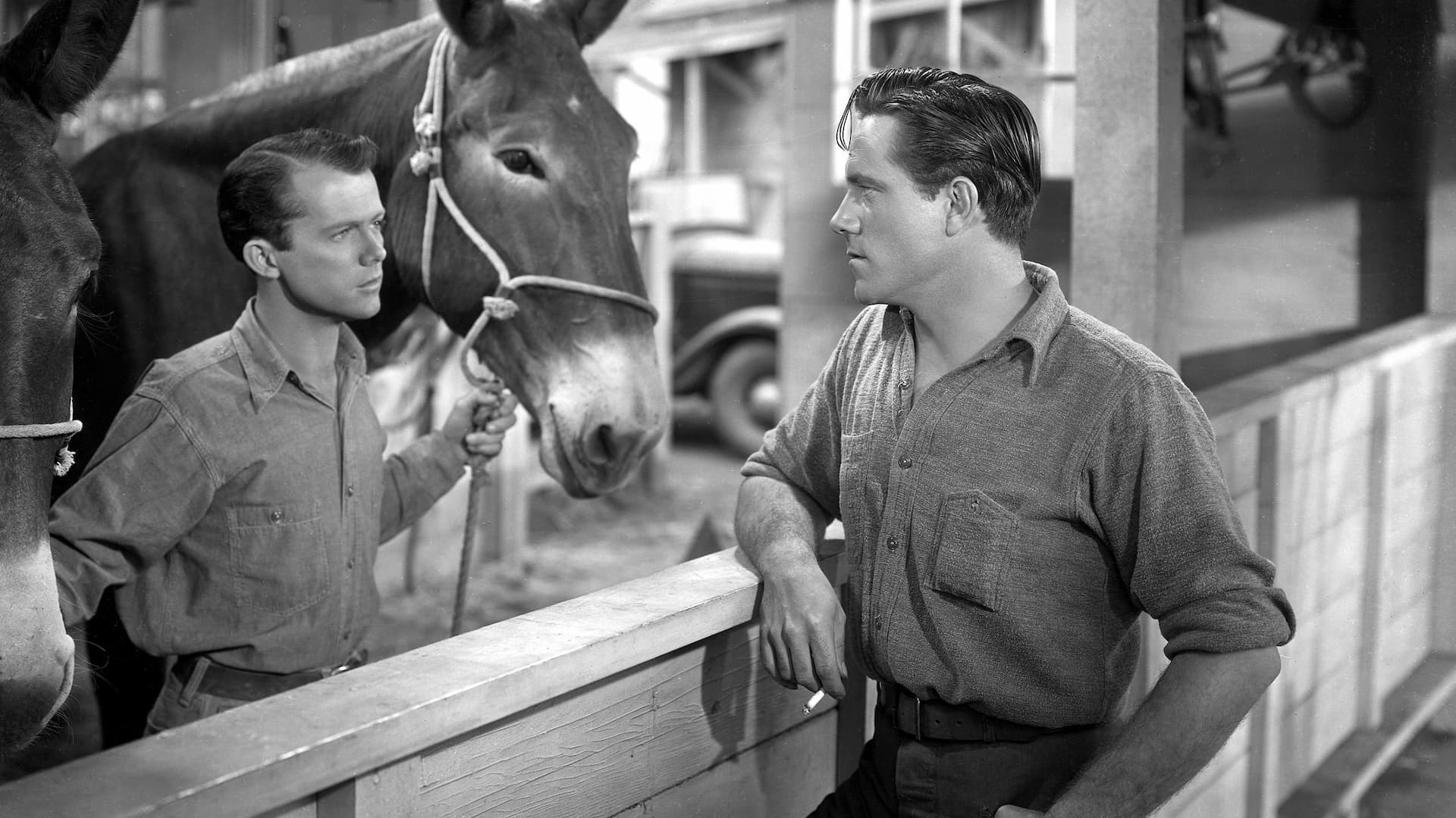 Scudda Hoo! Scudda Hay!