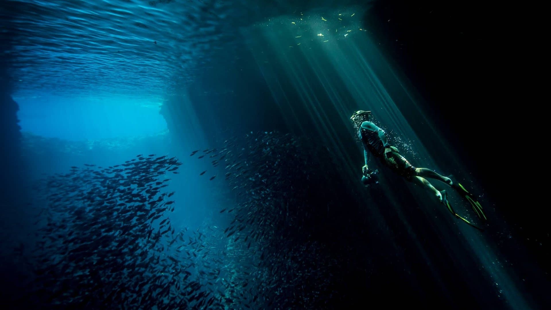 Işığın Masalları