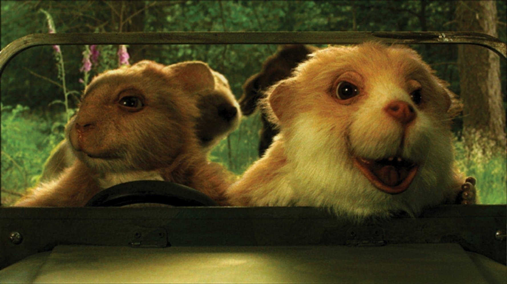 Riverbank Masalları