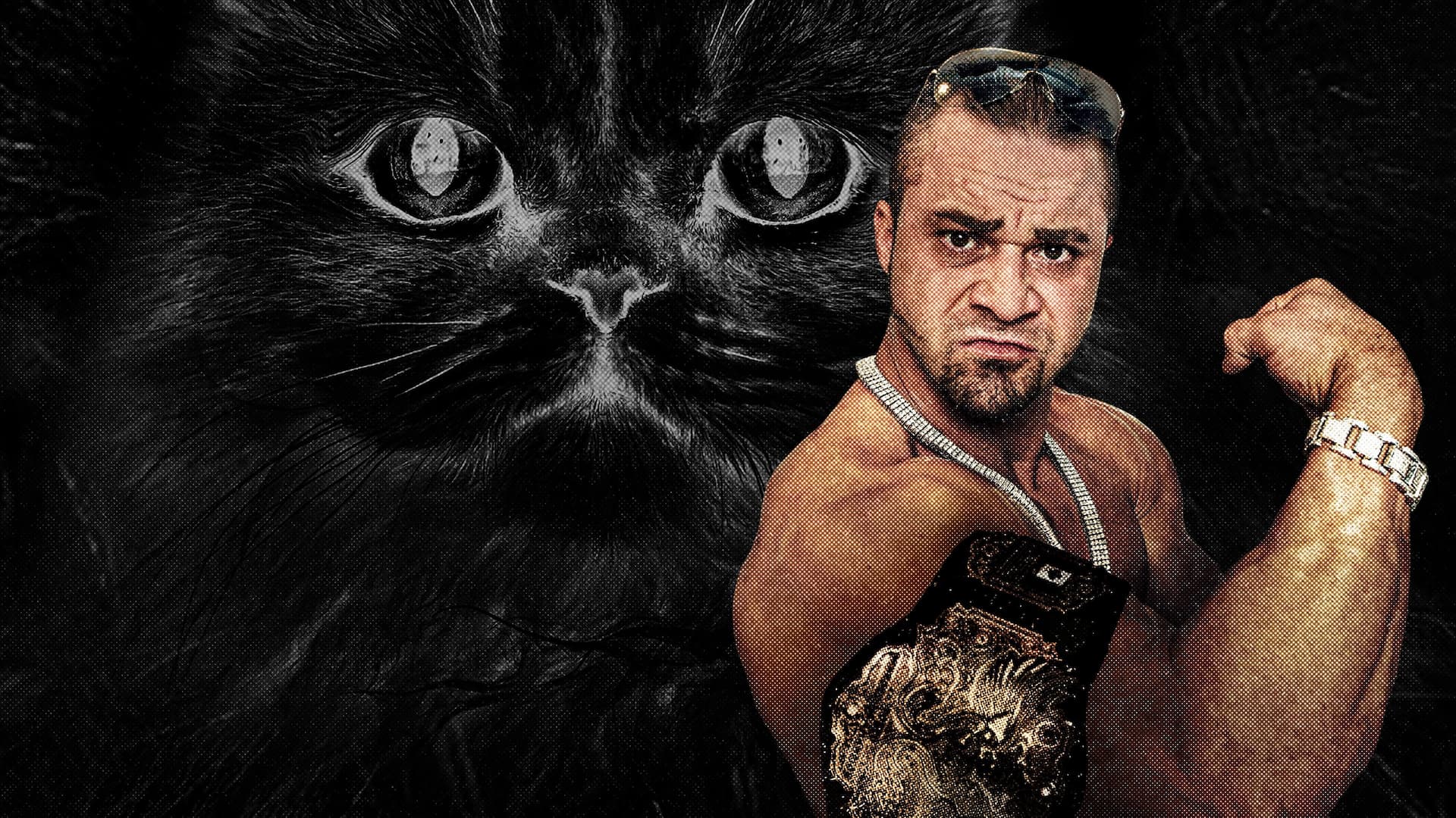 Dangerous Breed: Crime. Cons. Cats.