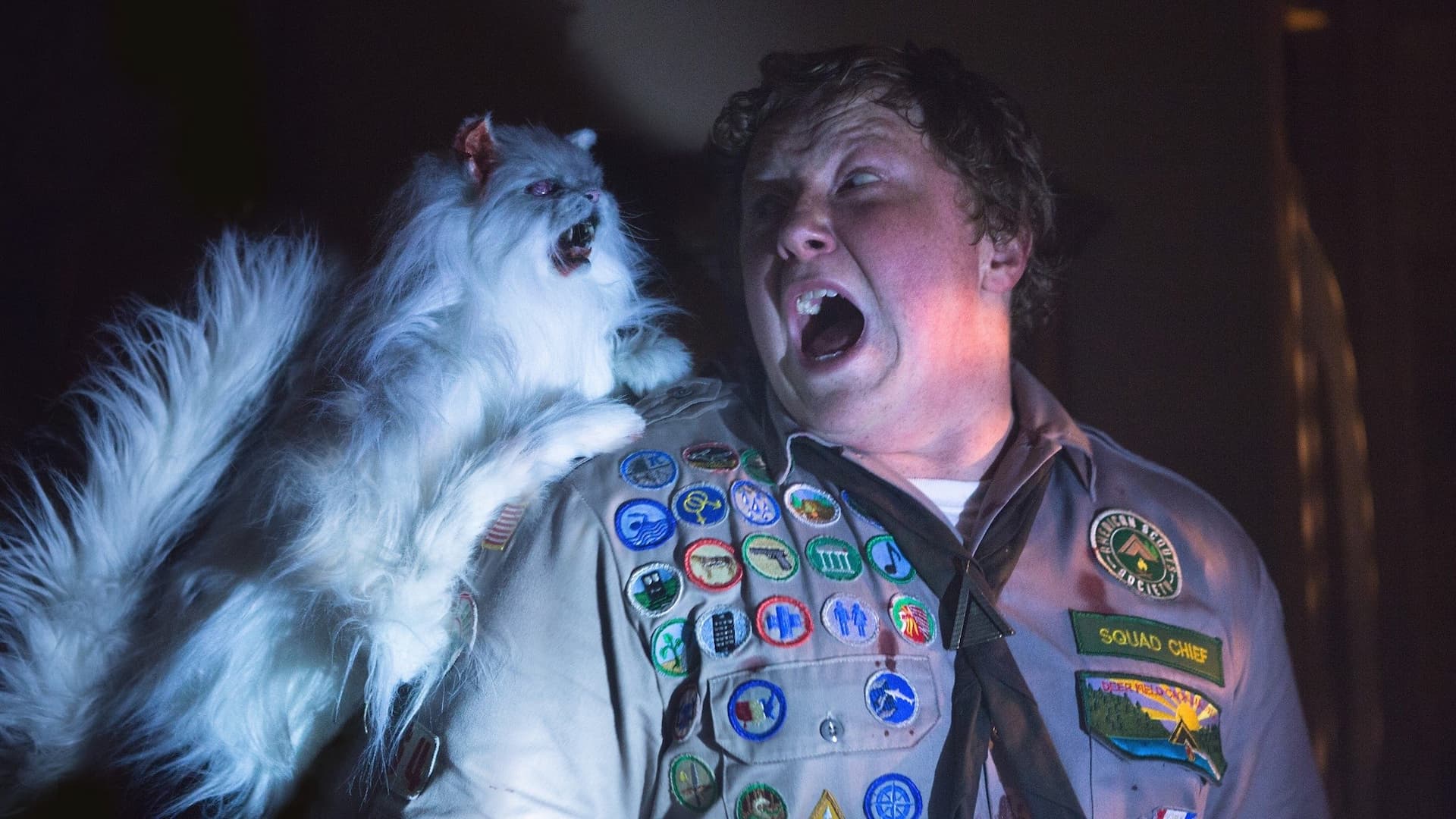 İzciler Zombilere Karşı