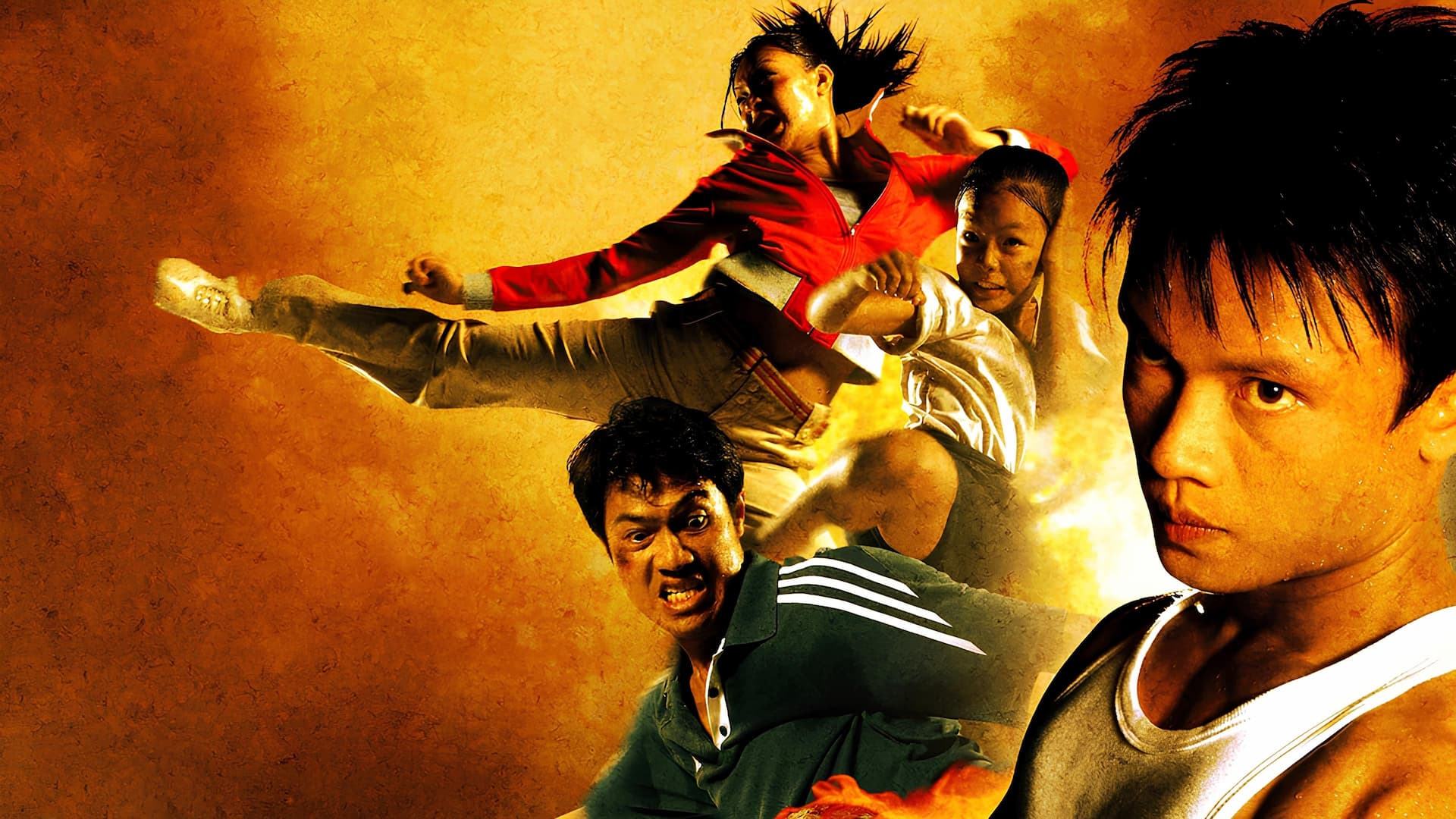 Özgürlük Dövüşü