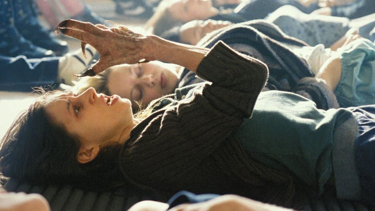 Kurtkızlar Serbest Kaldı