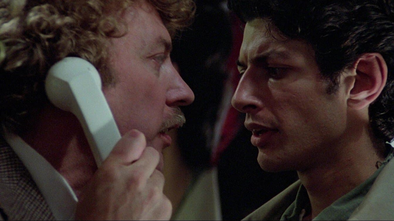 Beden Kemiricilerin İstılası