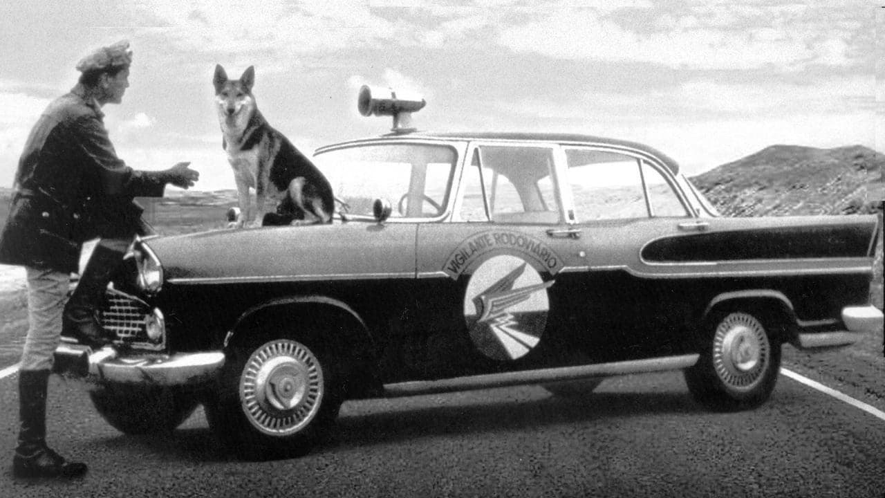 O Vigilante Rodoviário