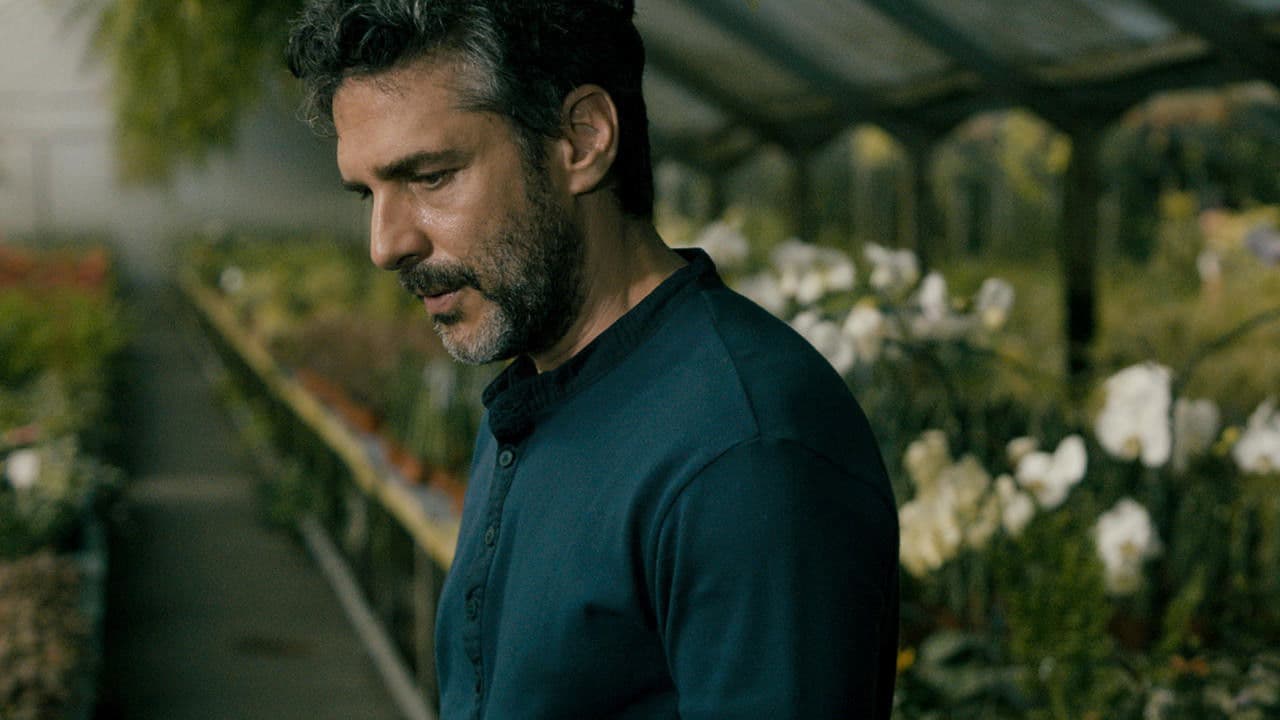 Gökyüzünün Sessizliği