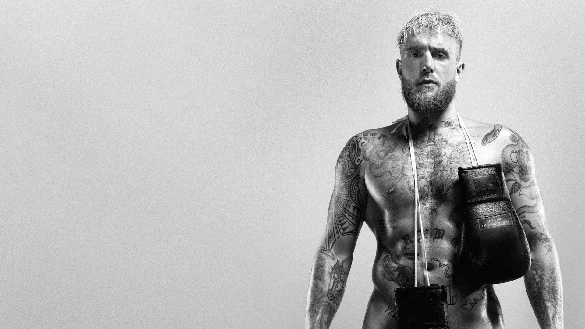 Perde Arkası: Sorunlu Çocuk Jake Paul