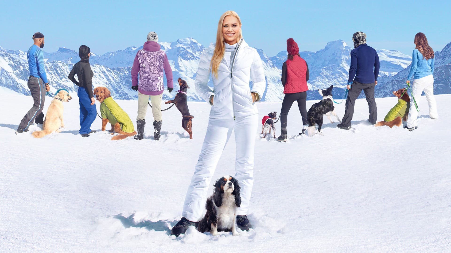 Köpekler ve Ortakları