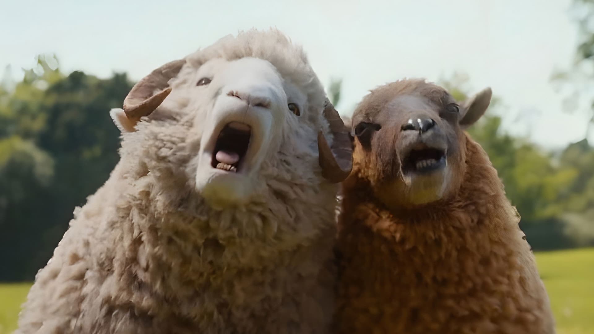 The Sheep Detectives