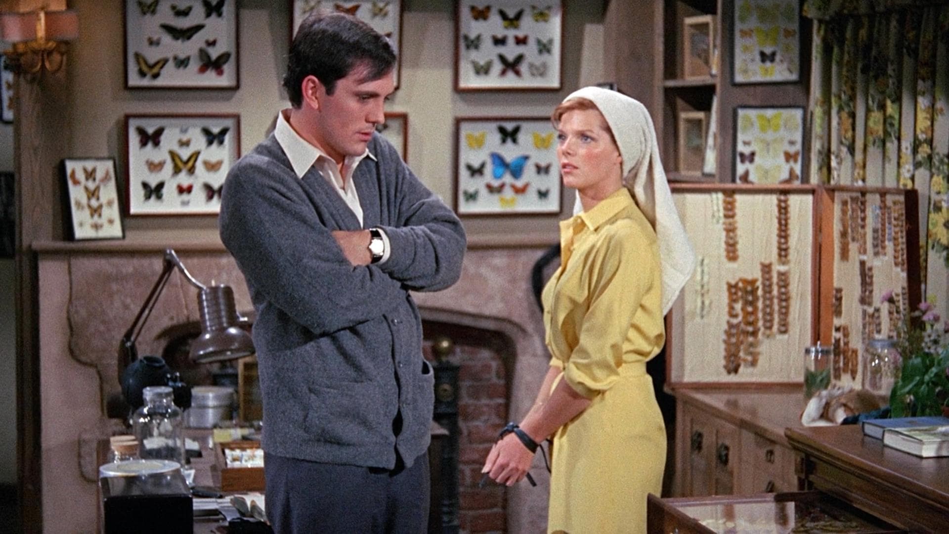 Korkunç Koleksiyoncu