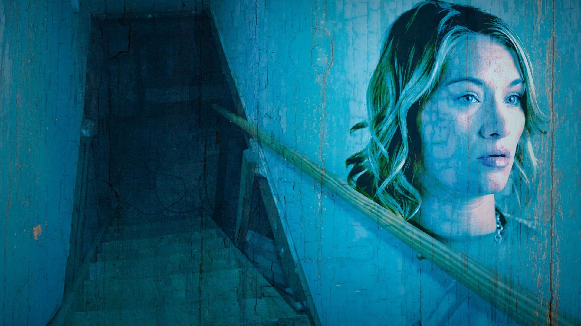 The Basement: A Vanishing In Apple Valley