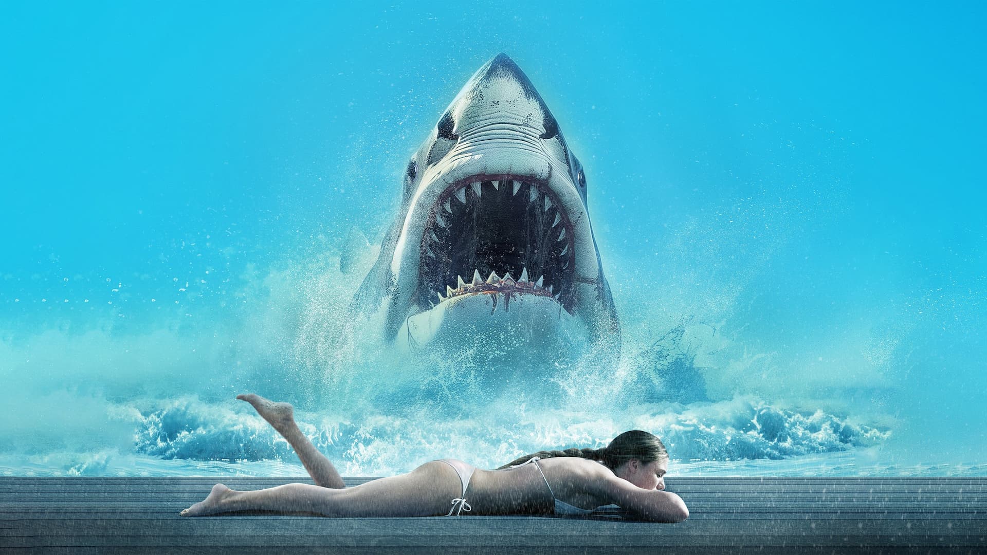 Shark Warning