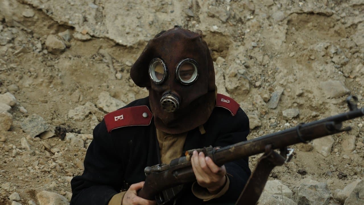 14 - Tagebücher des Ersten Weltkriegs