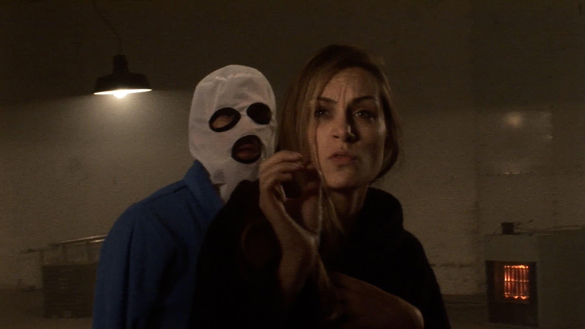 A Serbian Documentary