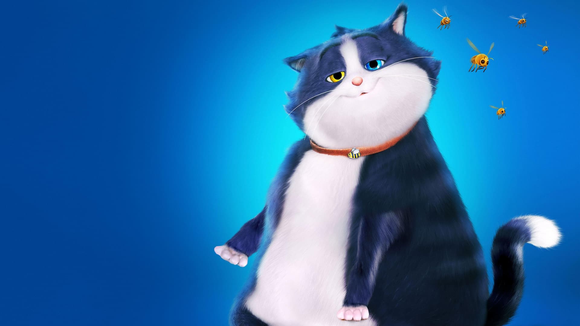 Meraklı Kedinin 10 Yaşamı