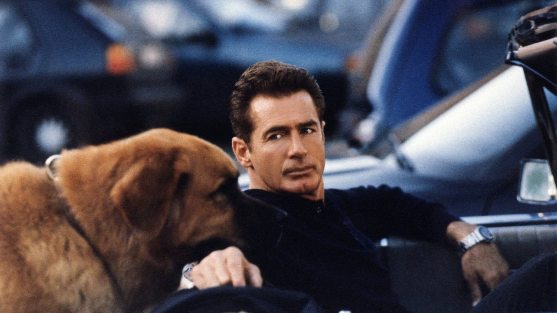 Le Nuove Avventure di Tequila & Bonetti