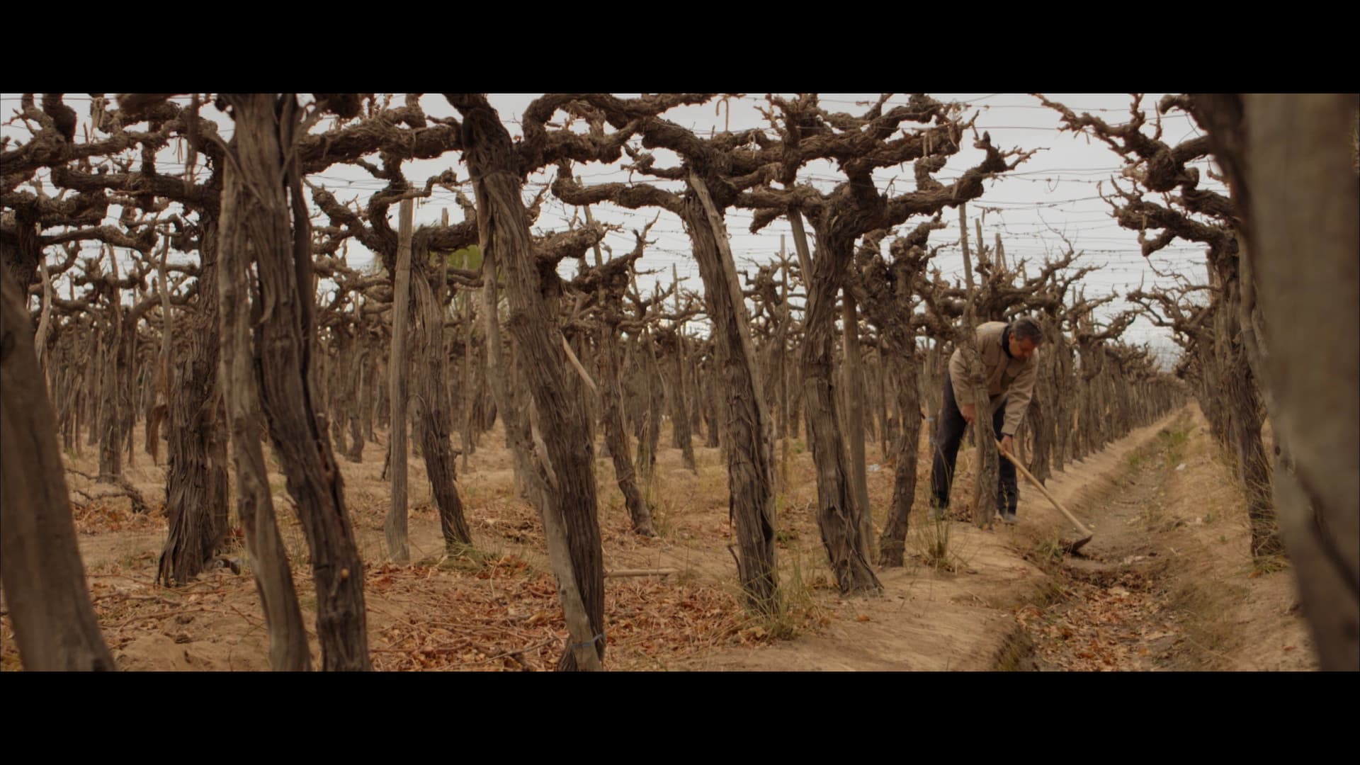 Tierra Yerma