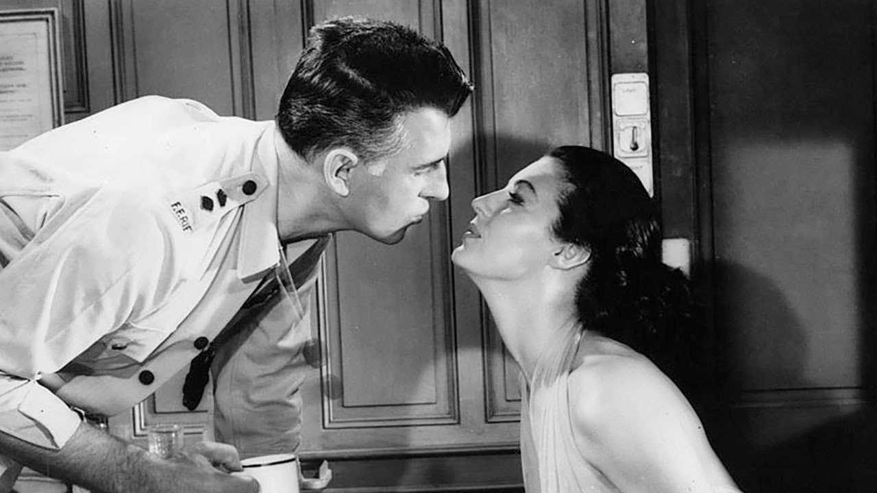 Bowani Kavşağı - Hint Güneşi