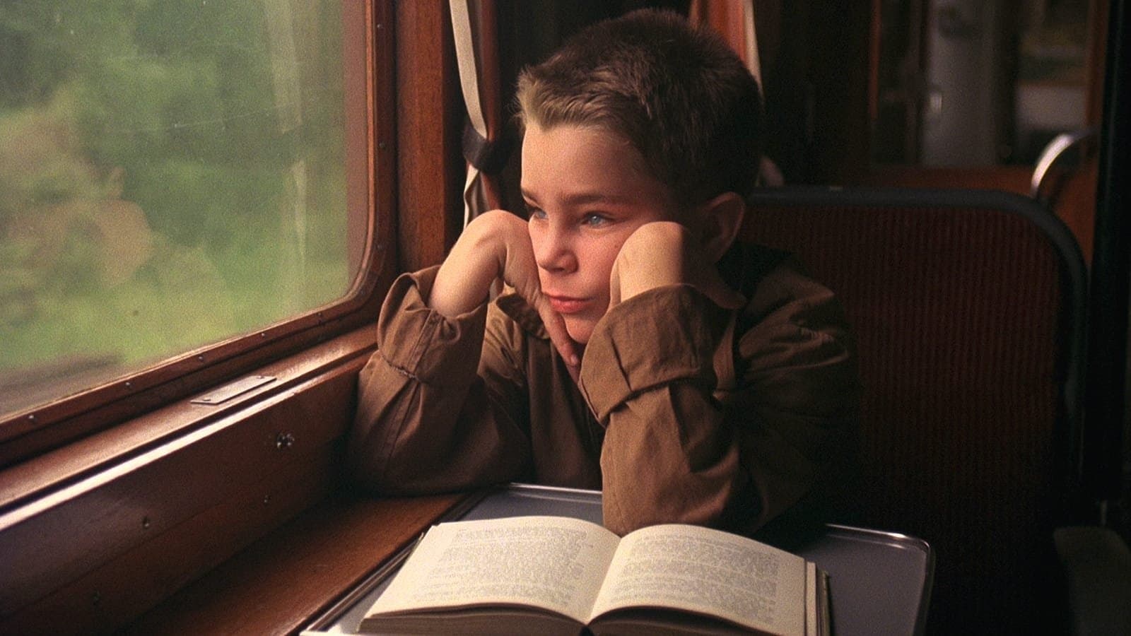 Köpek Olarak Hayatım