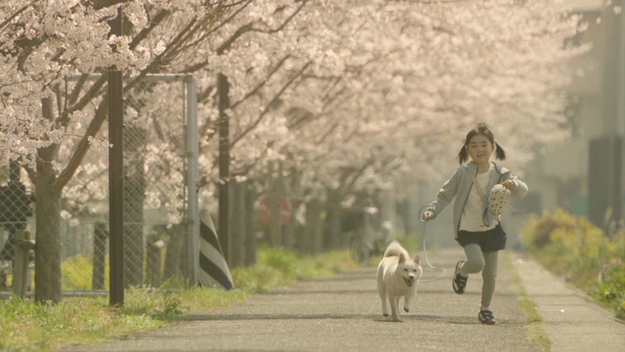 İstasyona Giden Yol