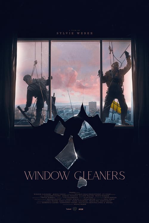 Window Cleaners