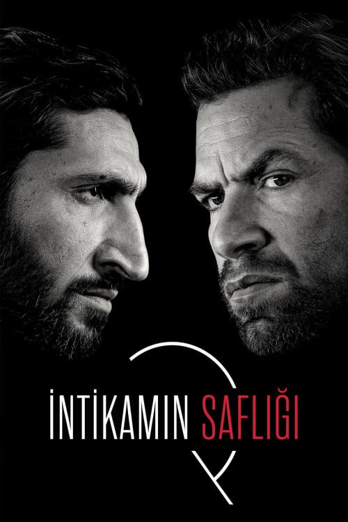 İntikamın Saflığı