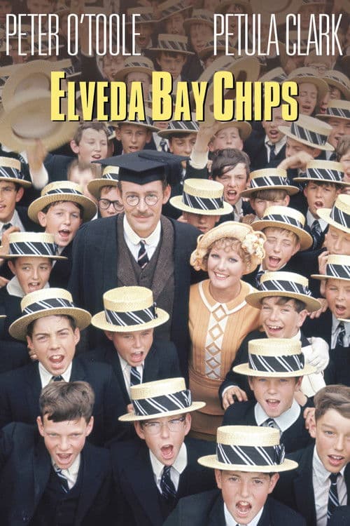 Elveda Bay Chips