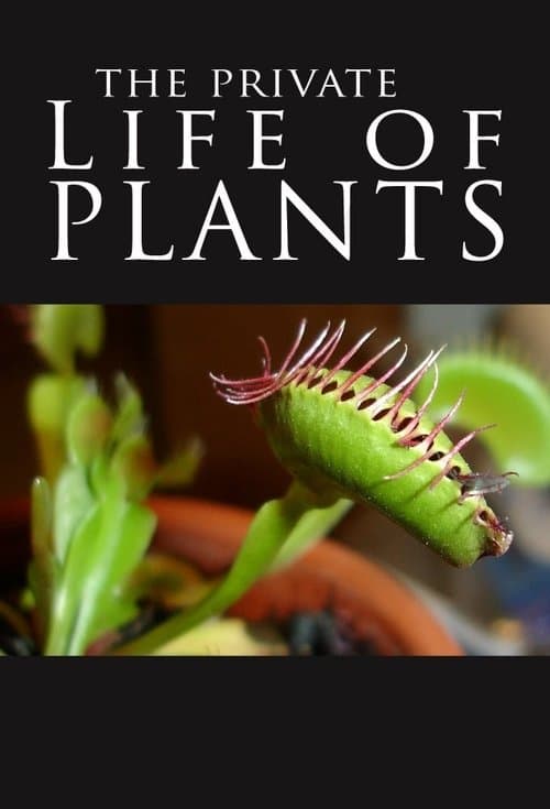 The Private Life of Plants