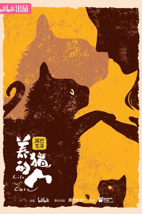 养猫的人