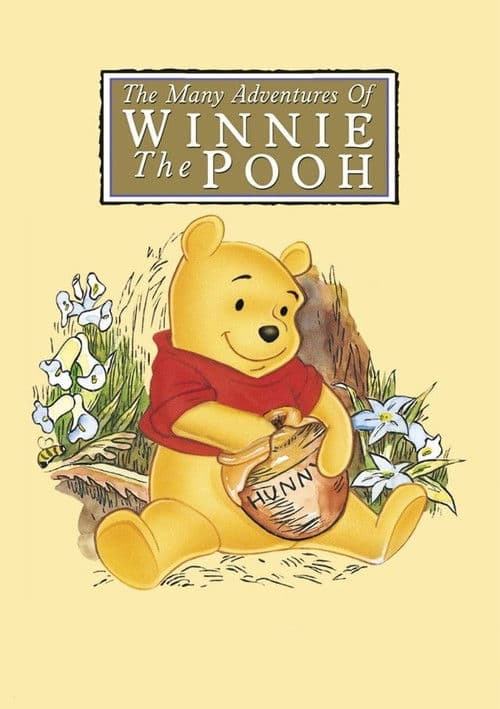 Winnie the Pooh'nun Maceraları