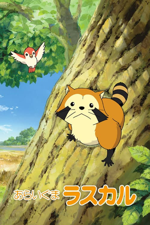 あらいぐまラスカル