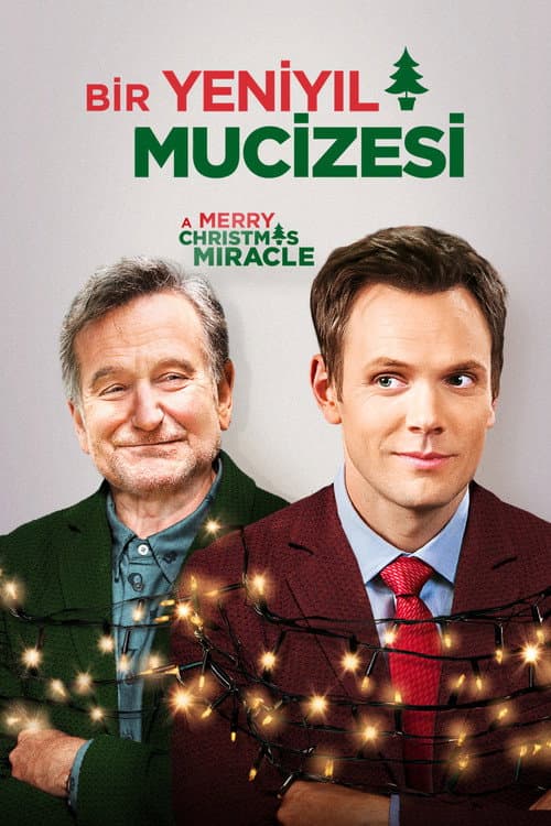 Bir Yeni Yıl Mucizesi