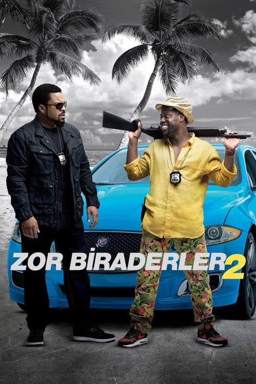 Zor Biraderler 2